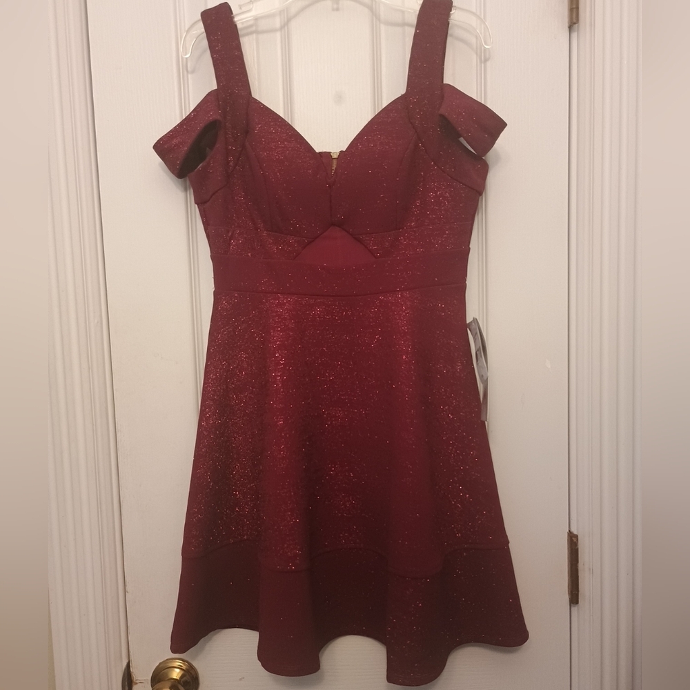 Honey and Rosie Burgundy Glitter Mini Dress Small (NWT)